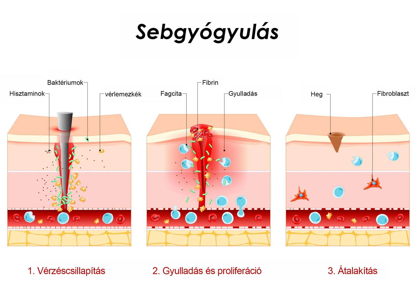 🇸🇰👨‍⚕️✅ Moauou® GHK-Cu™ Mikroihličková regeneračná náplasť ⚡ Okamžitá úľava, dlhotrvajúce výsledky – VEĽKÁ AKCIA!